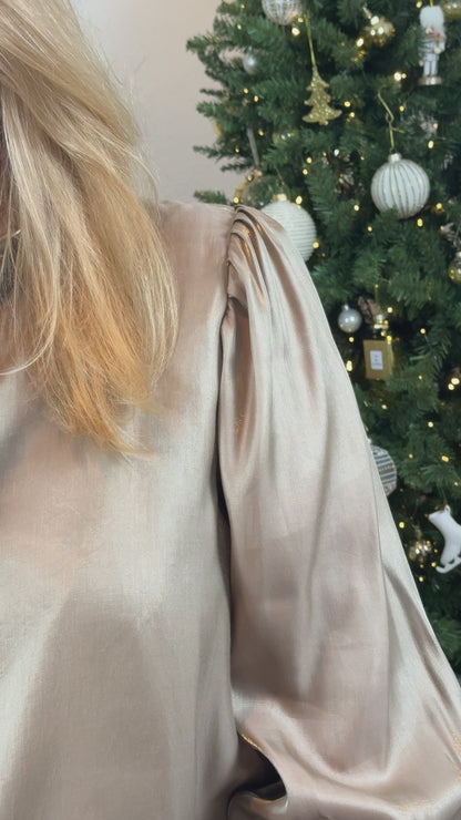 Champagne Glow Blouse